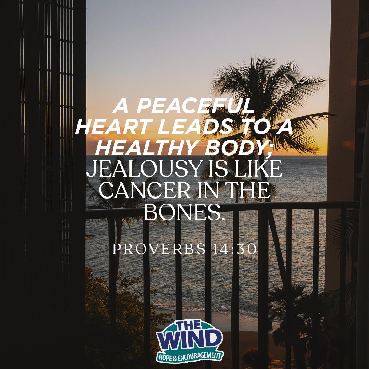 Proverbs 14:30