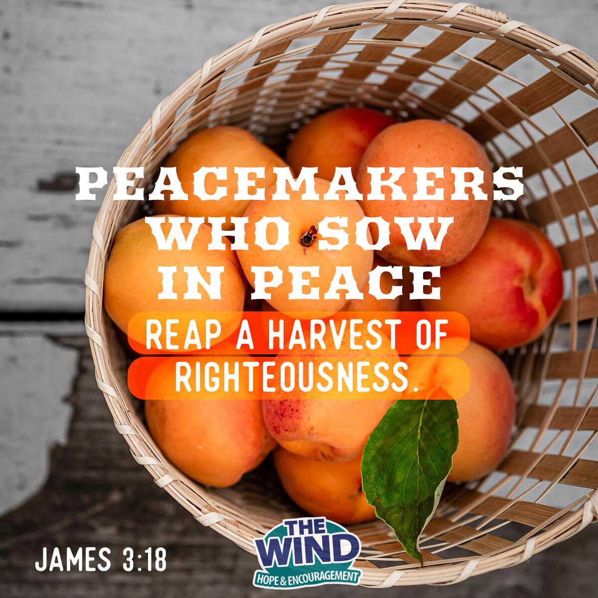 James 3:18