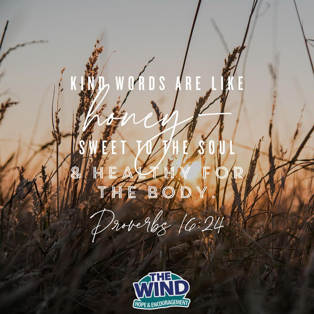 Proverbs 16:24