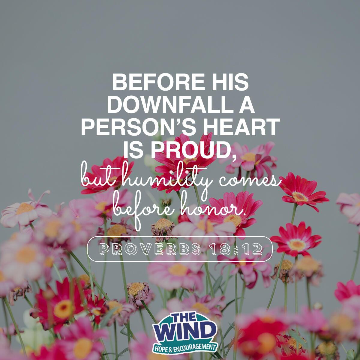Proverbs 18:12