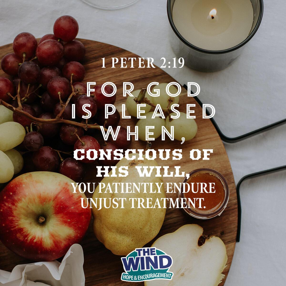 1 Peter 2:19