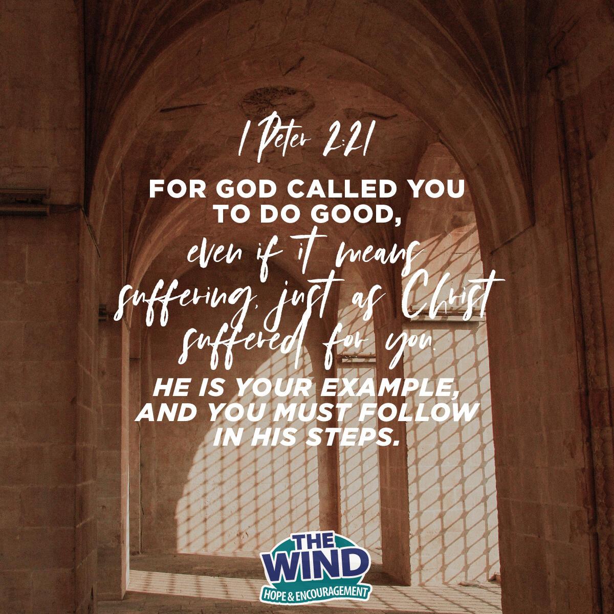 1 Peter 2:21