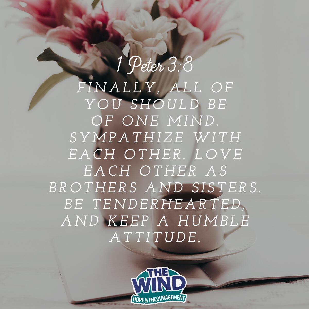 1 Peter 3:8