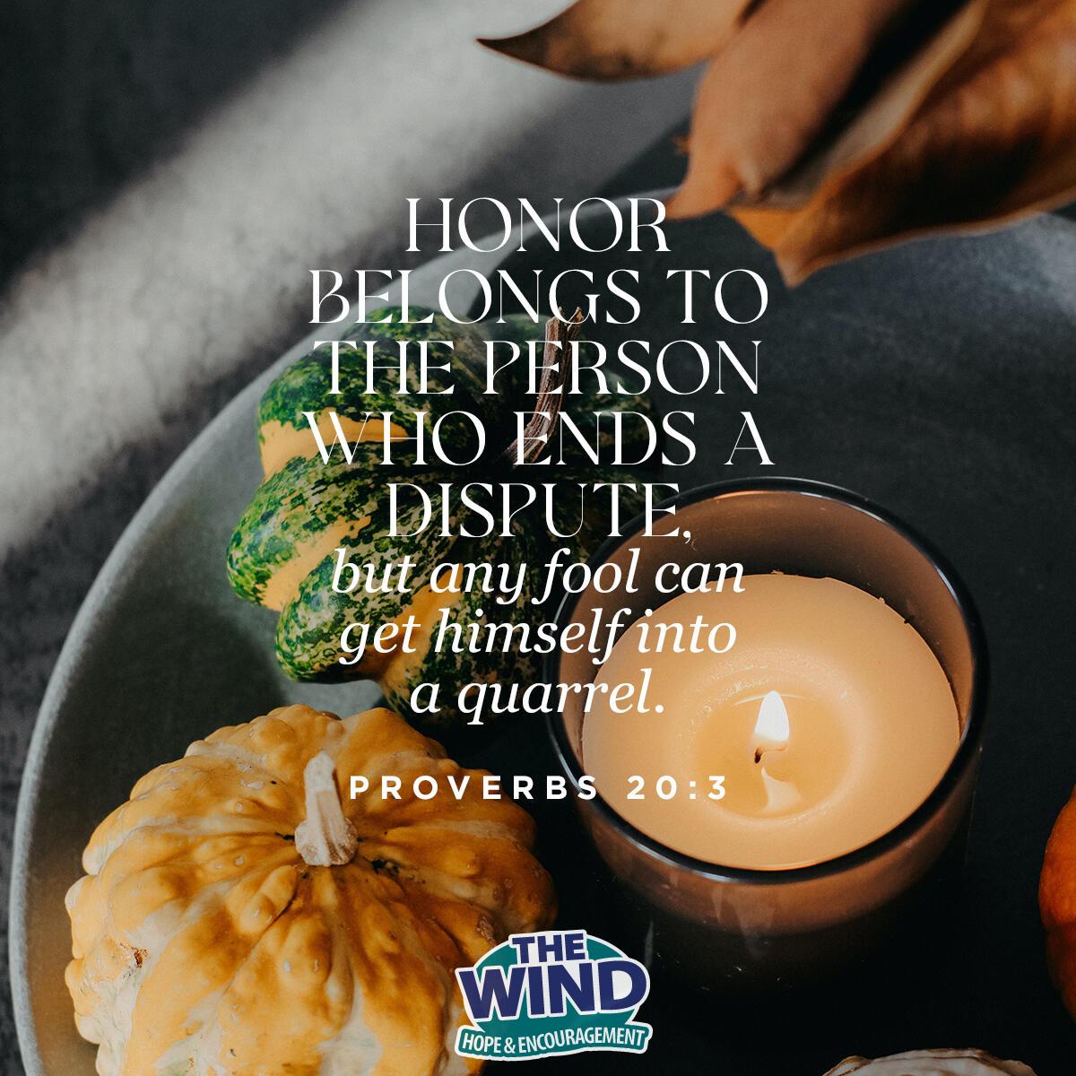 Proverbs 20:3