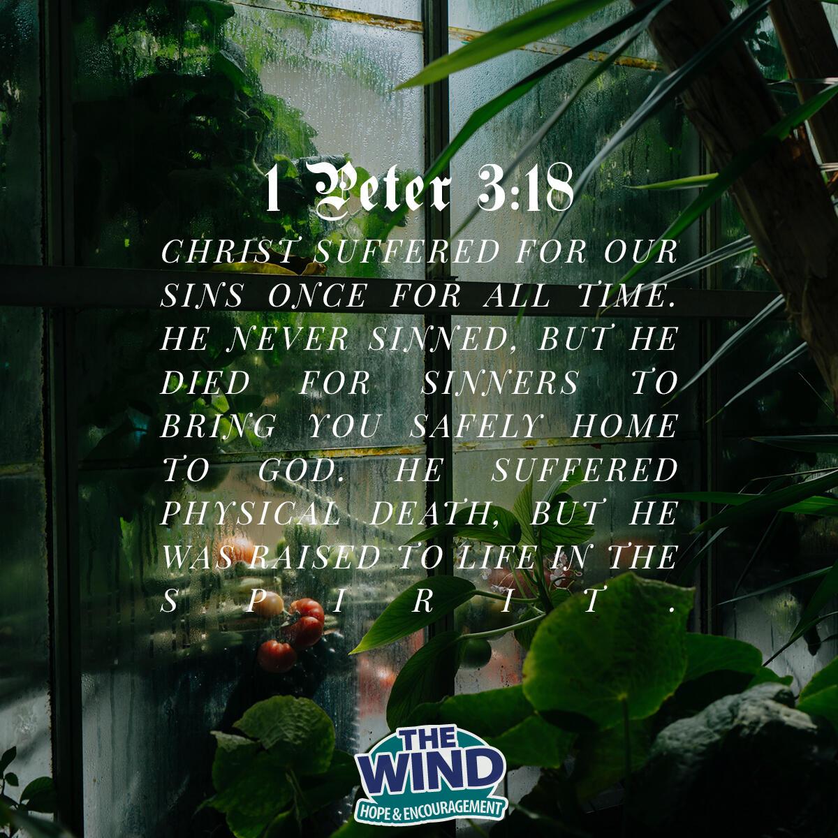 1 Peter 3:18