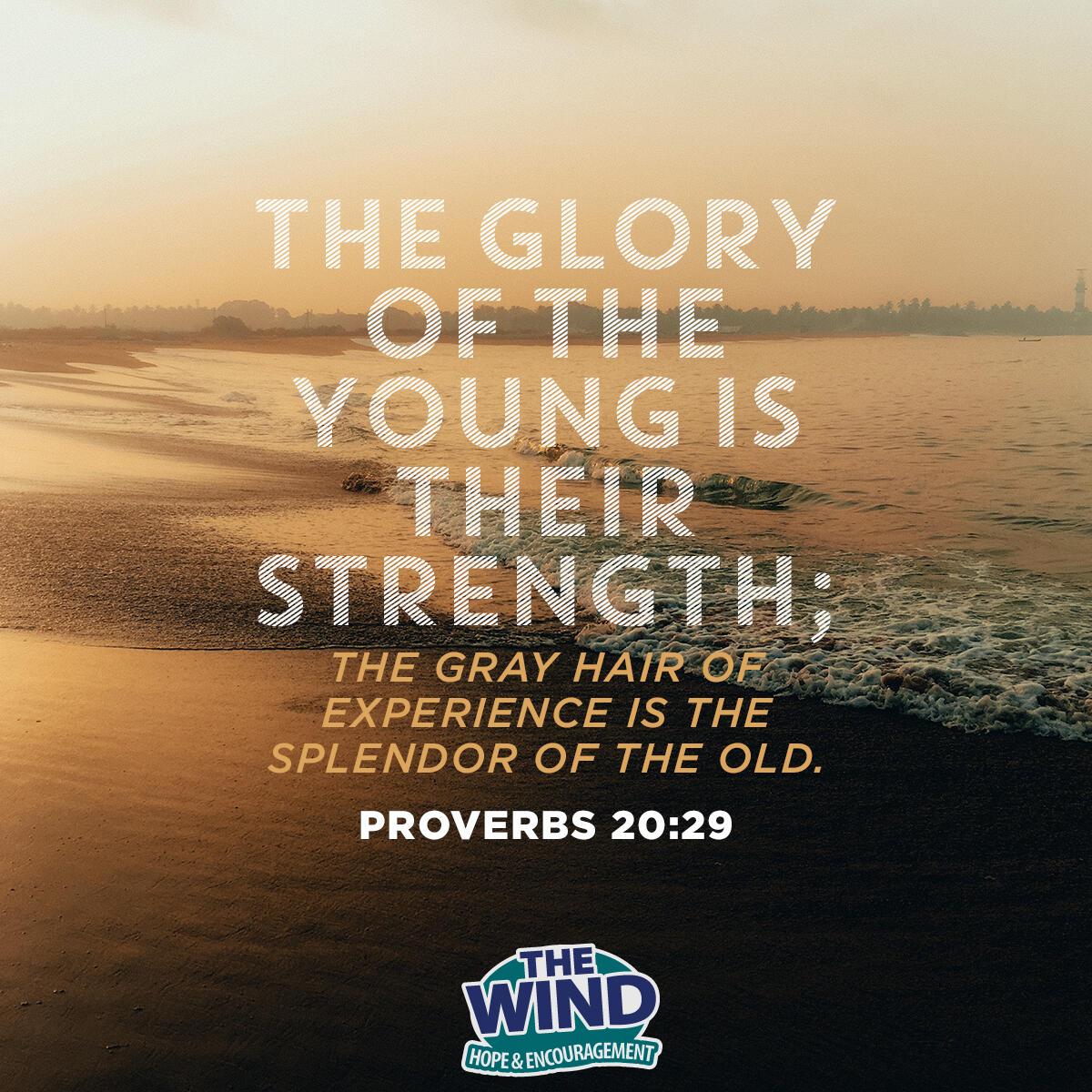 Proverbs 20:29