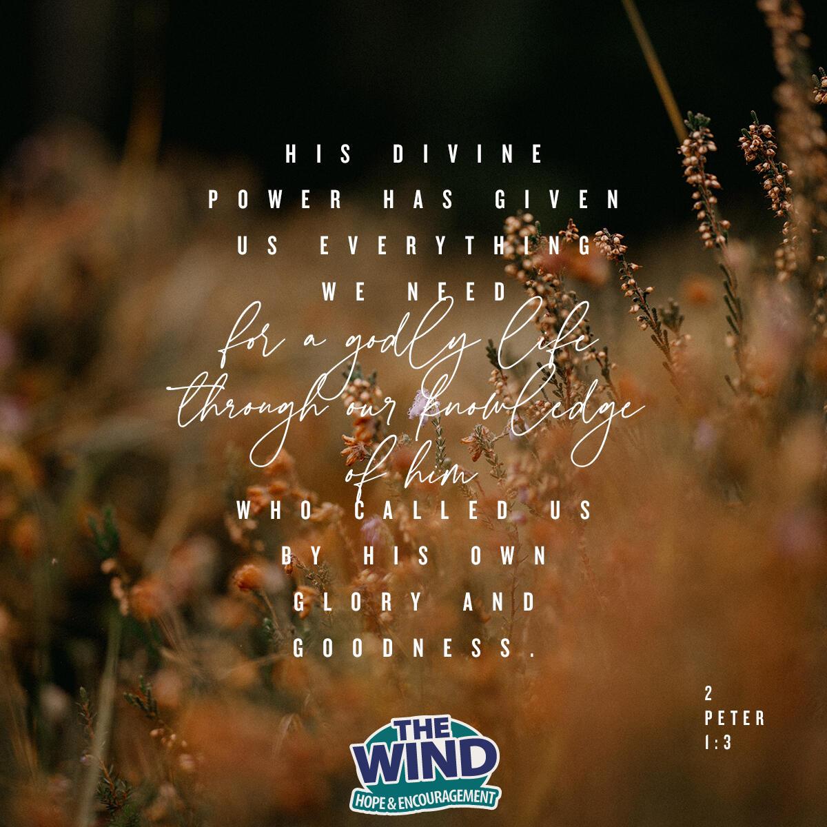 2 Peter 1:3