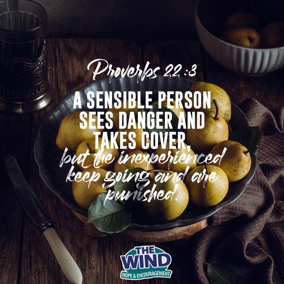 Proverbs 22:3