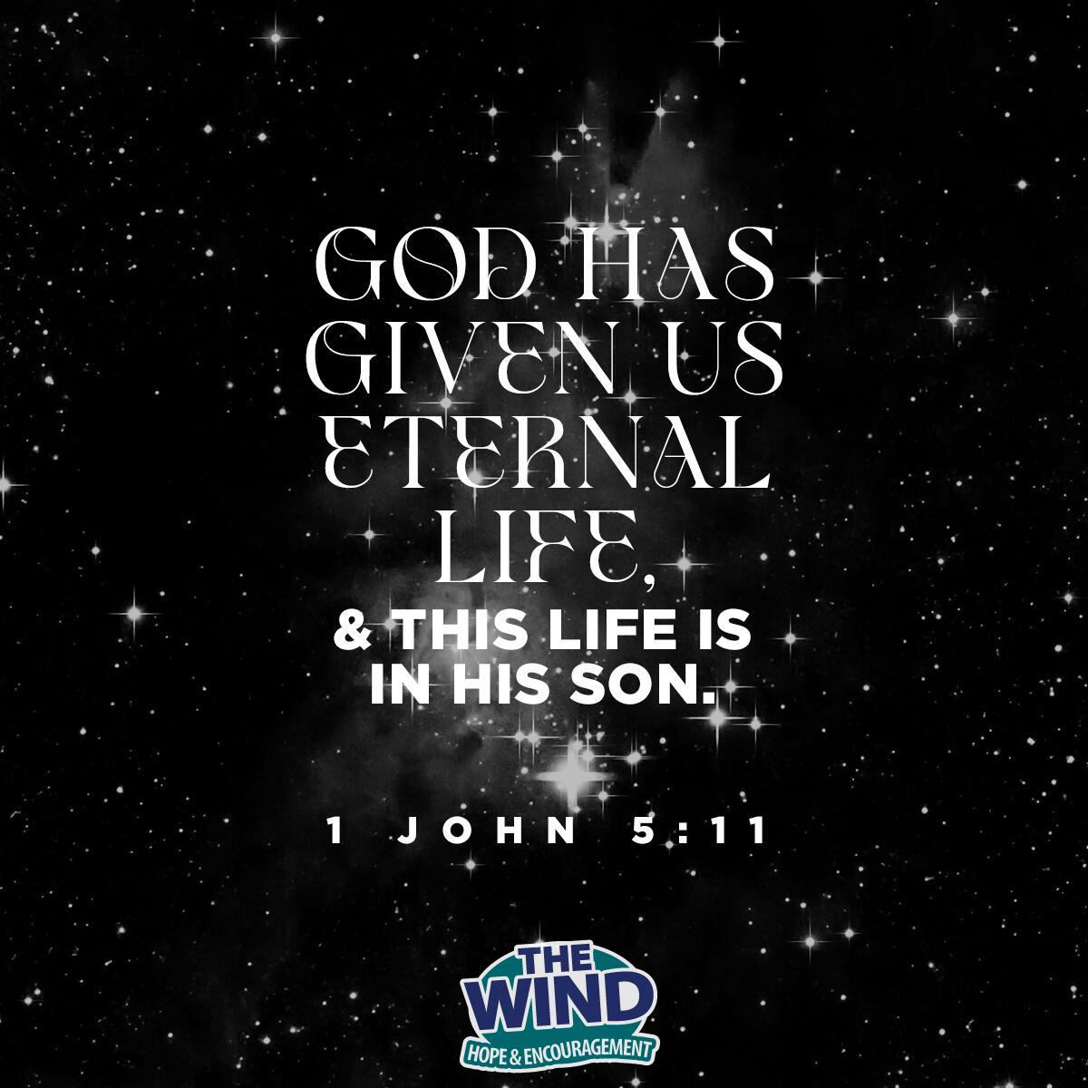 1 John 5:11