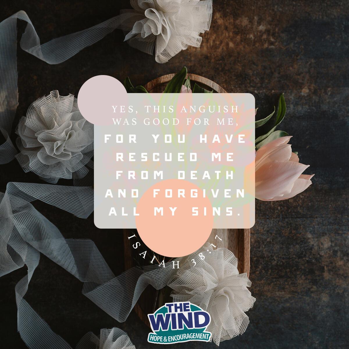 Isaiah 38:17