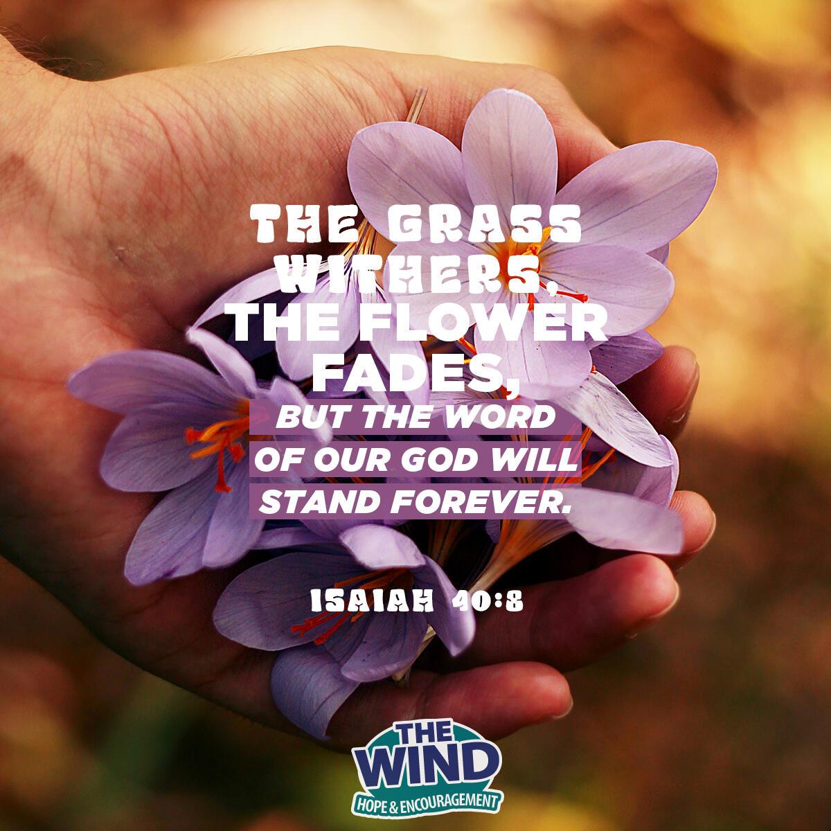 Isaiah 40:8