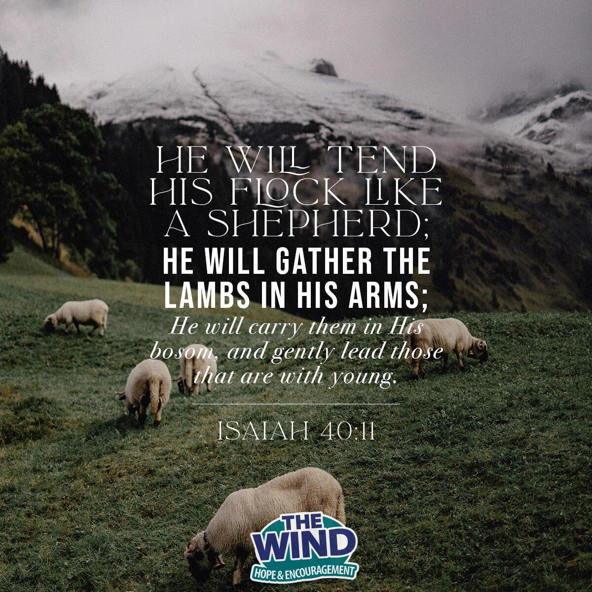 Isaiah 40:11