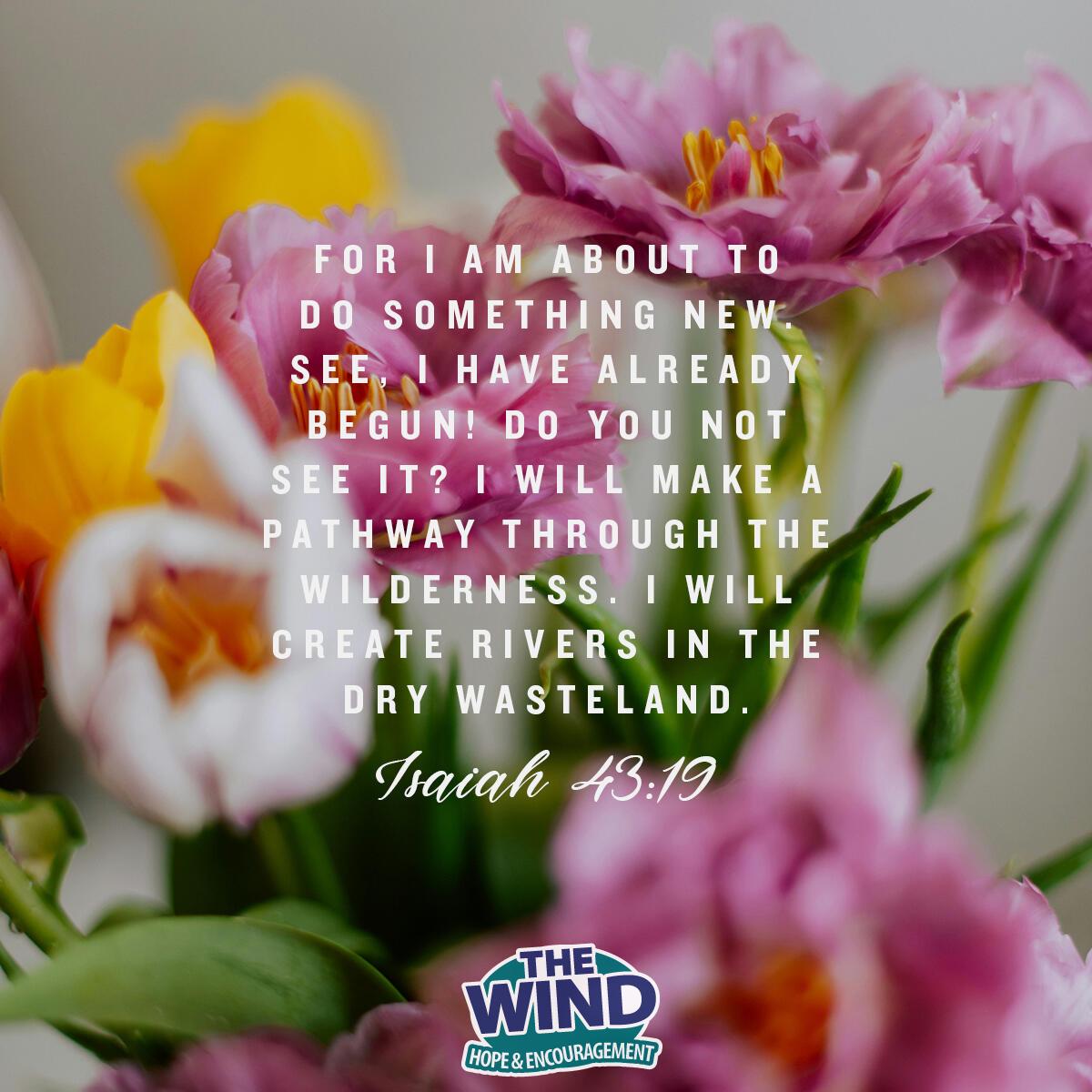 Isaiah 43:19