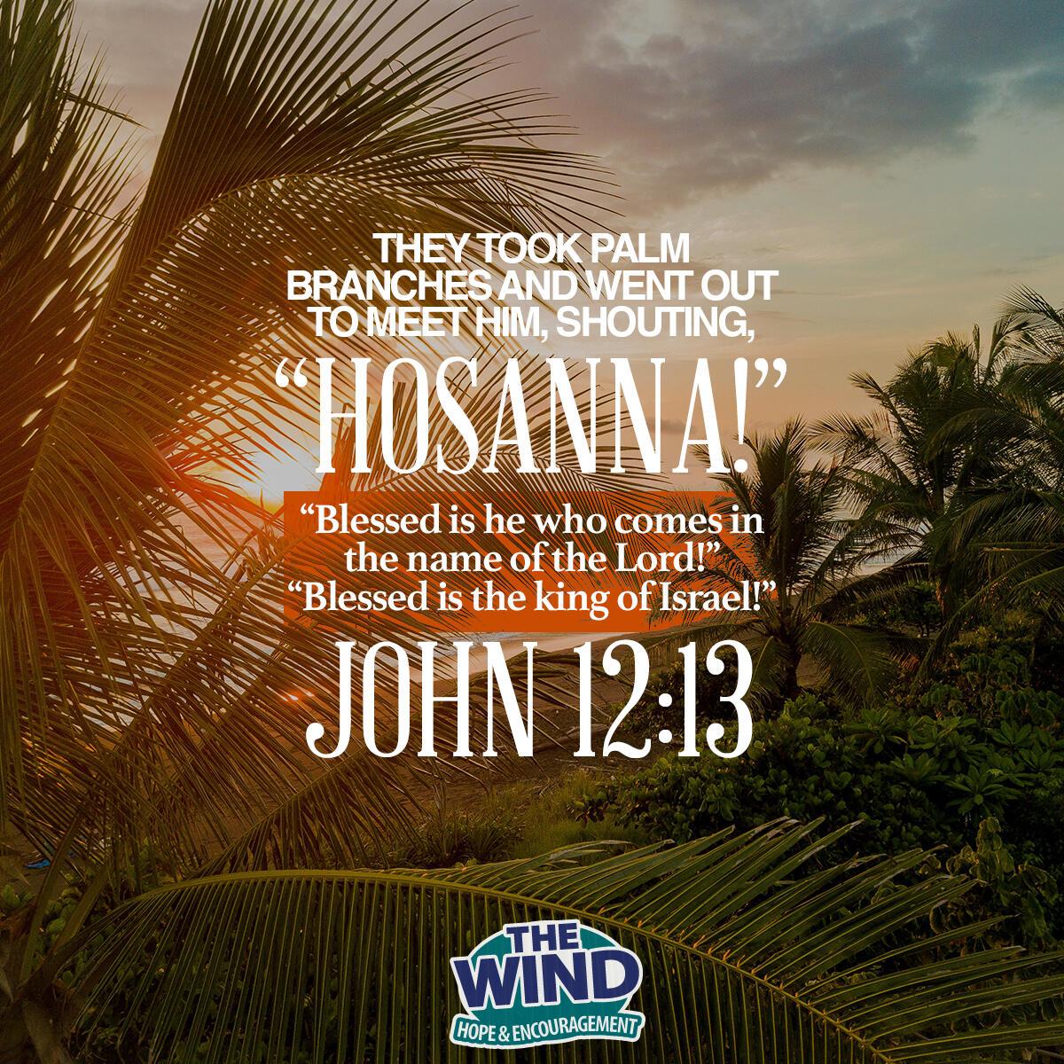 John 12:13