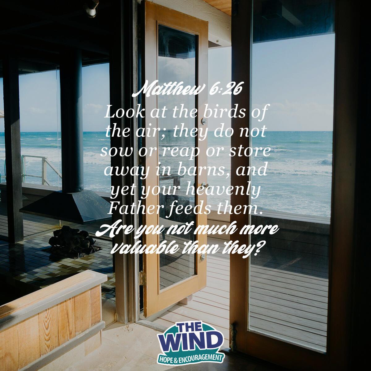 Matthew 6:26 - Verse of the Day