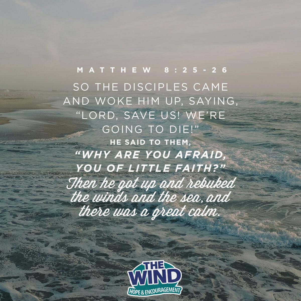 Matthew 8:25-26