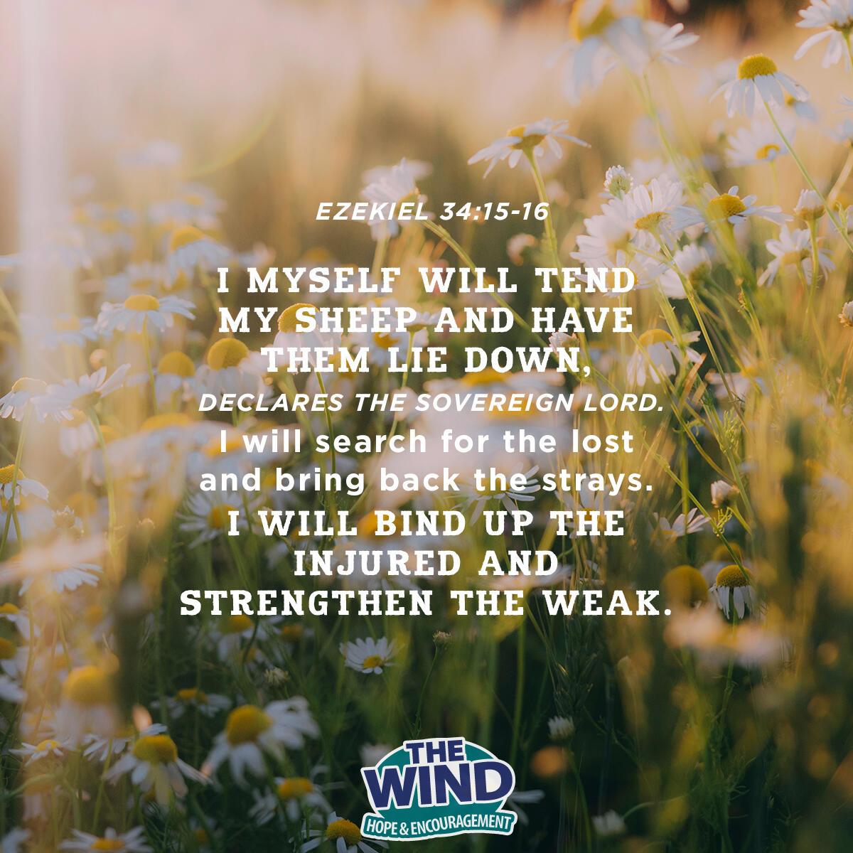 Ezekiel 34:15-16