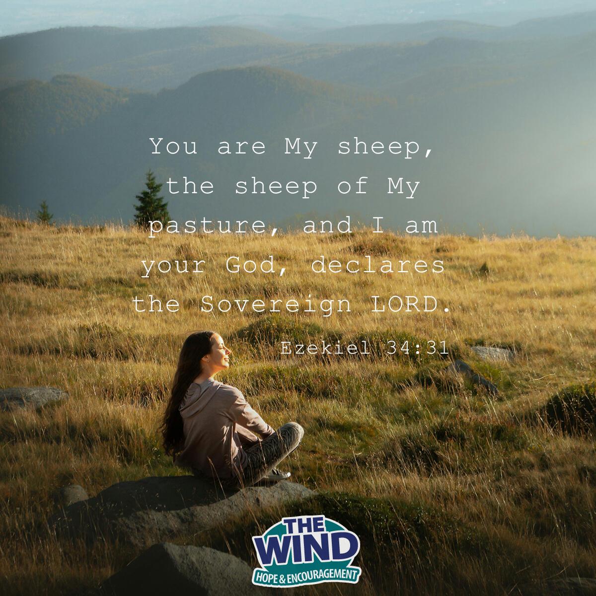 Ezekiel 34:31