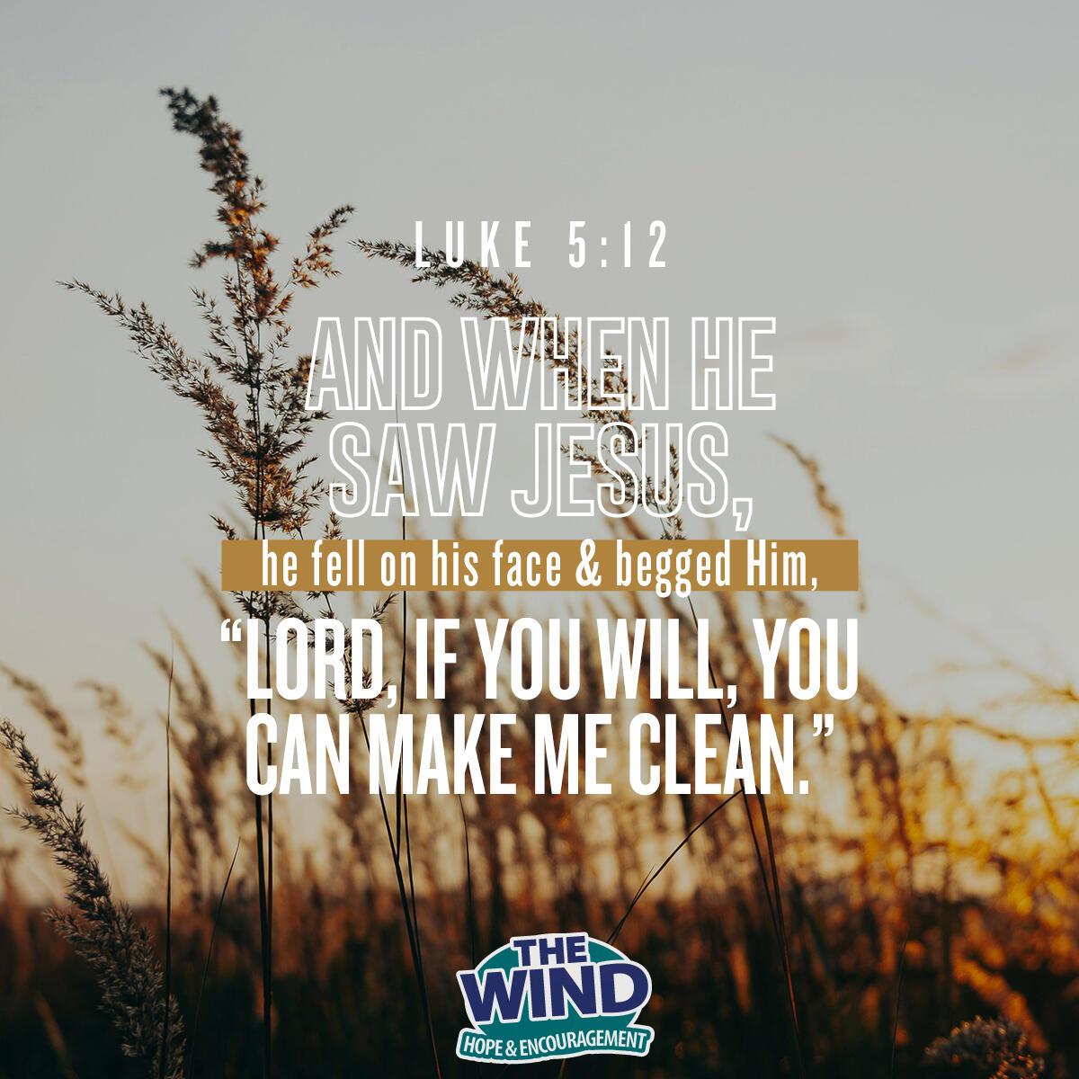 Luke 5:12