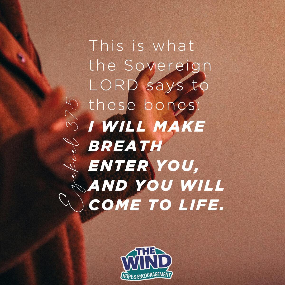 Ezekiel 37:5