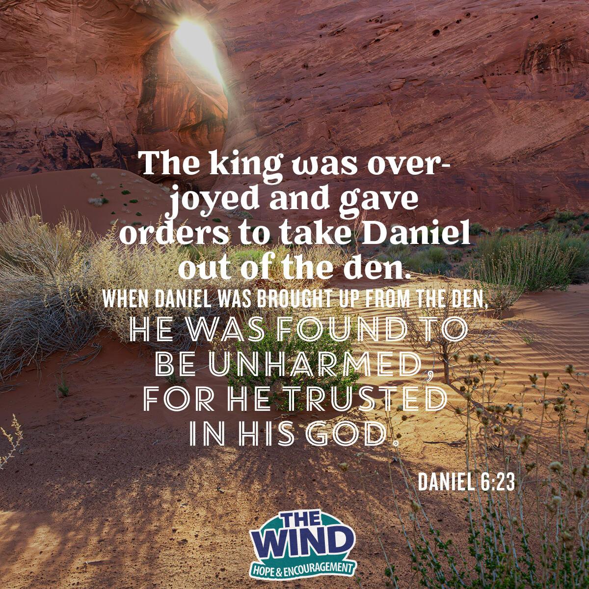 Daniel 6:23