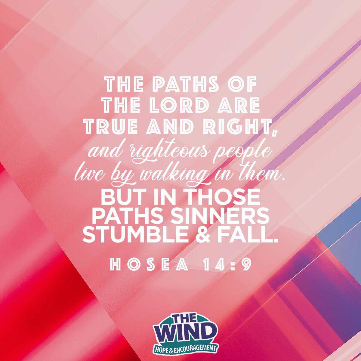 Hosea 14:9