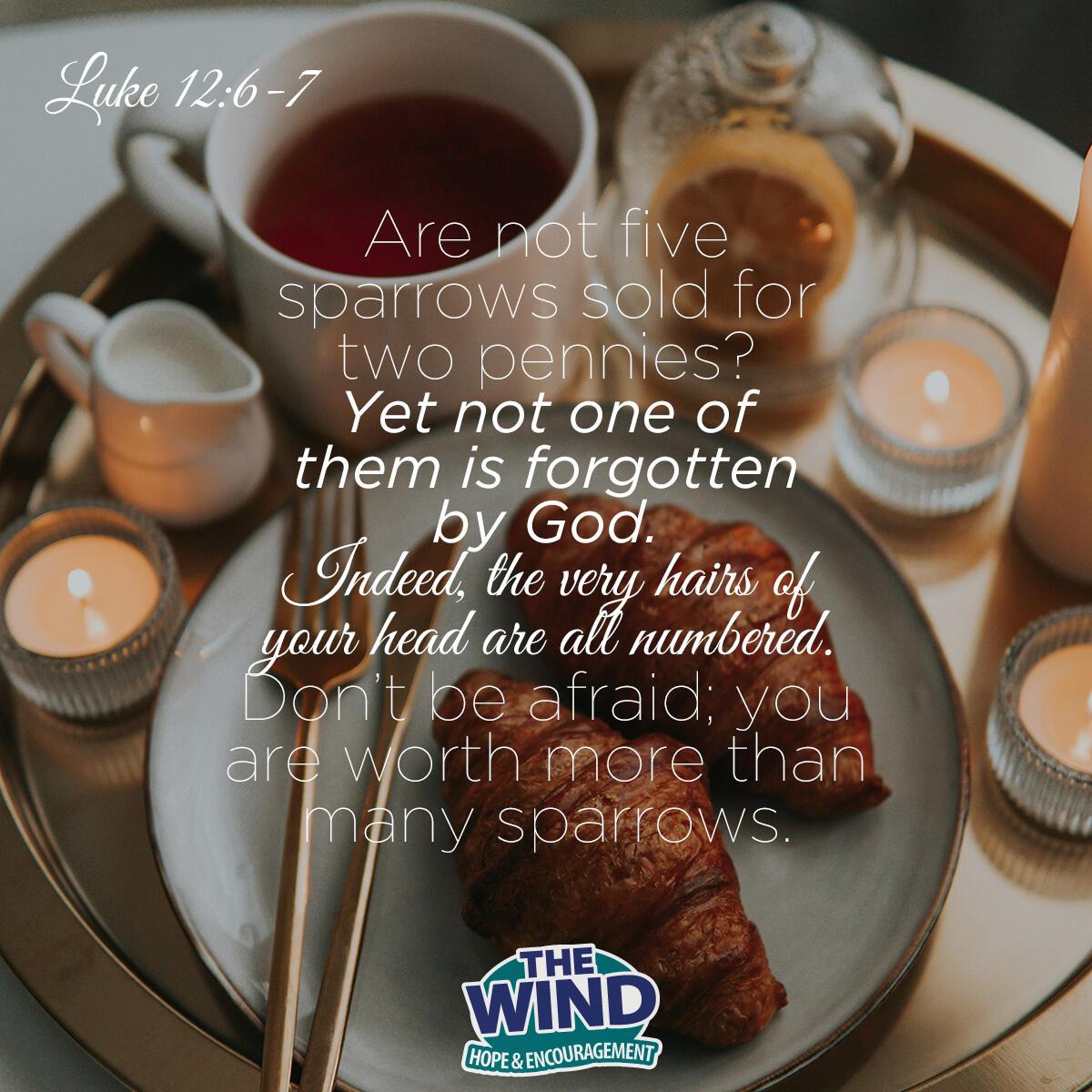 Luke 12:6-7