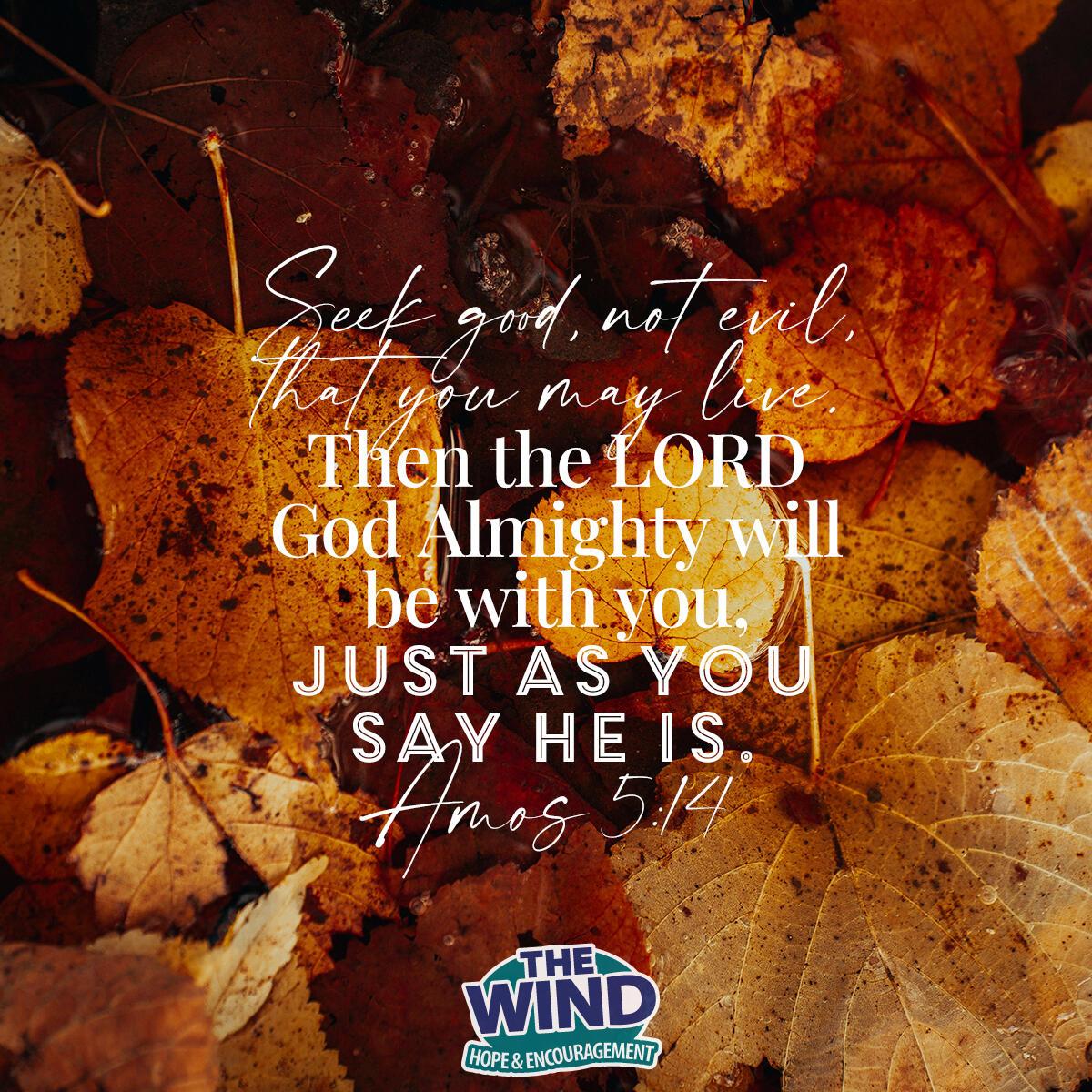 Amos 5:14