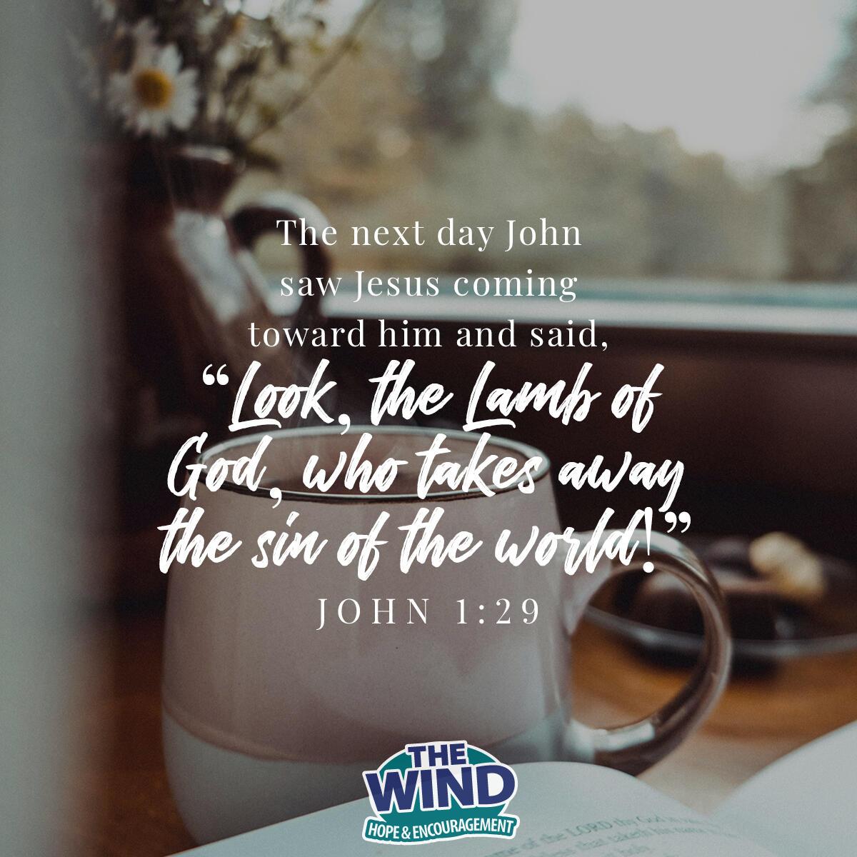 John 1:29