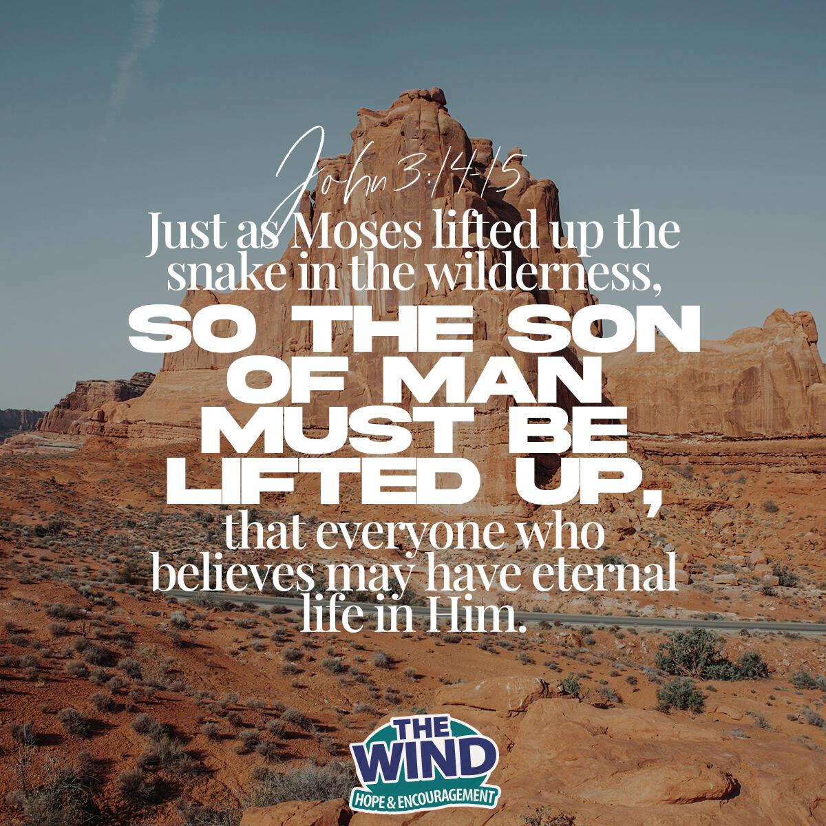 John 3:14-15